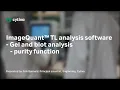 ImageQuant TL Tutorial - Gel blot analysis