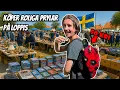 Download Lagu På Jakt | MAXAD LOPPISHELG! | Nörderiet
