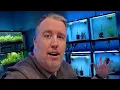 2023 Tour of Aquarium Co-Op Retail Store All the fish and coming expansion