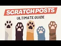 BEST CAT SCRATCH POSTS Ultimate Guide with Cat Scratcher Reviews