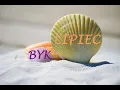 Download Lagu TAROT # BYK # LIPIEC 2025