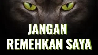 Download Jangan Remehkan Saya !! || Video Motivasi MP3