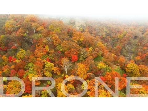 ＜経験10年以上の出張カメラマン＞写真に関するあらゆるレタッチや編集が得意です！