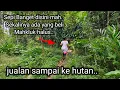 Download Lagu MUSTAHIL PERCAYA!! TAPI ORANG INI BERTAHAN HIDUP SELAMA 100 HARI DI HUTAN