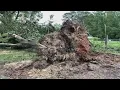 EF-2 tornado traveled nearly 30 miles from Abbeville and Greenwood