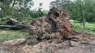 EF-2 tornado traveled nearly 30 miles from Abbeville and Greenwood