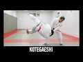 KOTEGAESHI Japanse Jujutsu