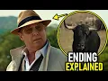 THE BLACKLIST SEASON 10 Ending Explained How Raymond Reddington Was Killed