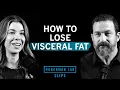 How You Gain Visceral Fat How to Lose it Dr Rhonda Patrick Dr Andrew Huberman