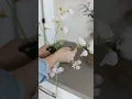EASY AFFORDABLE SPRING DECOR