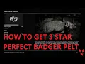 Red Dead Redemption 2 HOW TO GET BADGER PERFECT PELT 5 LOCATIONS