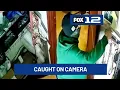Burglar caught on camera stealing safe from Cascade Locks restaurant