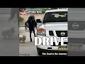 DRIVE Remembering Max with Dr Susan Block