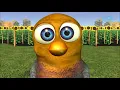 The Chicken Dance -  Kids Songs & Nursery Rhymes