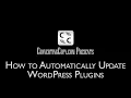 How to Automatically Update WordPress Plugins