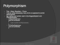 JAP 4 Inheritance and Polymoprphism