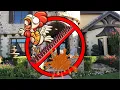 Best MOST EFFECTIVE Bird Deterrent Spikes Keep Birds Away