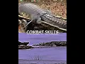 Download Lagu GUSTAVE VS LOLONG#gustave #lolong #crocodile #battle #edit