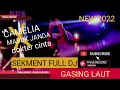 Download Lagu FULL DJ | NUHA MUSIC | FDJ SHINTA BILQIS | GASING LAUT | DOKTER CINTA x CAMELIA | SHAPA WG