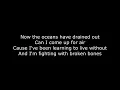 Architects - Hereafter (Lyrics)