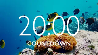 20 Minute Timer with Relaxing Music and Alarm