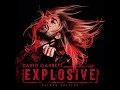 Wrecking Ball - David Garrett, Royal Philharmonic Orchestra & Franck van der Heijden