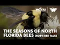 Seasons of North Florida s Native Bees