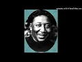 Muddy Waters - Too Young To Know