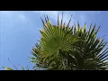 Passionfruit-Drake /Justice Der instru  (math cover)