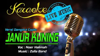 Download Karaoke JANUR KUNING - Noer Halimah  (Live Music) MP3