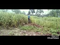 Download Lagu Ayah, Kau Lelaki Terhebat