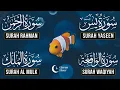 Beautiful Surah Yaseen (Yasin) | Surah Rahman | Surah Waqiah | Surah Mulk |