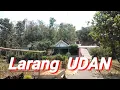 Lagu Gending Tayub Jawa Timur ( Larang Udan )