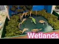 Wetlands Biome Diorama Project