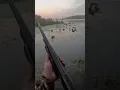 Download Lagu Heck of a way to start the season! One shot limit! #duckhunting