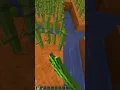 Best Way to Plant Sugarcane