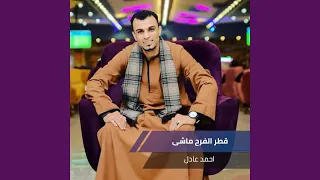 قطر الفرح ماشى دندنها