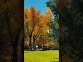 Download Lagu Fall Season at UW