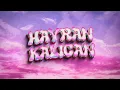 Çakal - HAYRAN KALICAN (Official Video)