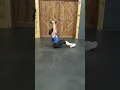 Dumbbell Sit ups - double overhead