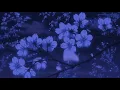 Milo J - Niño (𝙨𝙡𝙤𝙬𝙚𝙙 + 𝙧𝙚𝙫𝙚𝙧𝙗)