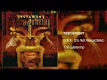 Download Lagu Testament - D.N.R. (Do Not Resuscitate)