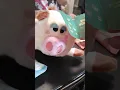 March Barkbox 2026 Opening