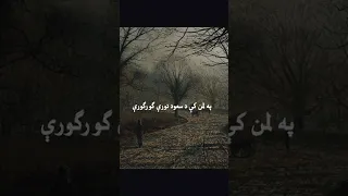 Pashto Song د شرابو يو پياله ورسره اخلم 