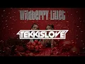 Download Lagu WILDBERRY LILLET - CHR1ST3KK EDIT [HARDTEKK] 2023