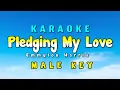Download Lagu Pledging My Love karaoke Version Emmylou Harris Male Key