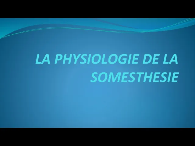 LA PHYSIOLOGIE DE LA SOMESTHÉSIE