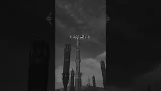 انك ميت وأنهم ميتون آيات قرآنية 