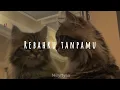 Download Lagu Putera Band - Rebahku Tanpamu (speed up)