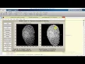 Finger Print Recognition and Matching Matlab Project with Source Code